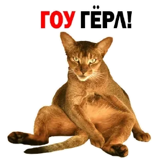 Sticker Больше стиков тут: @stikery4 - 0