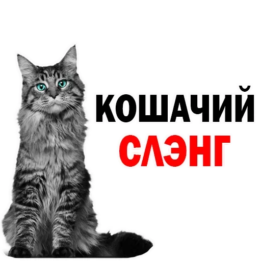 Больше стиков тут: @stikery4 - 