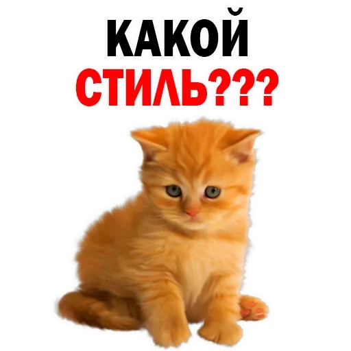 Sticker NYMKHHWLTD_by_stikeri_stikeri_bot - 1