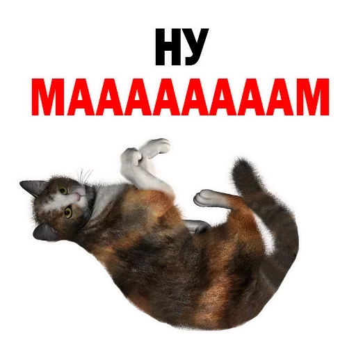 Sticker NYMKHHWLTD_by_stikeri_stikeri_bot - 1