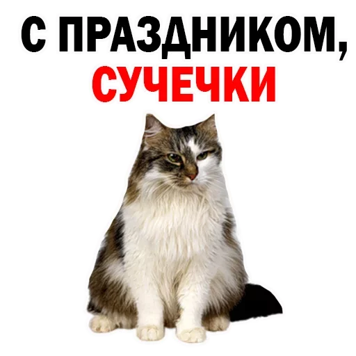 Sticker NYMKHHWLTD_by_stikeri_stikeri_bot - 1