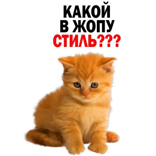 Sticker NYMKHHWLTD_by_stikeri_stikeri_bot - 1