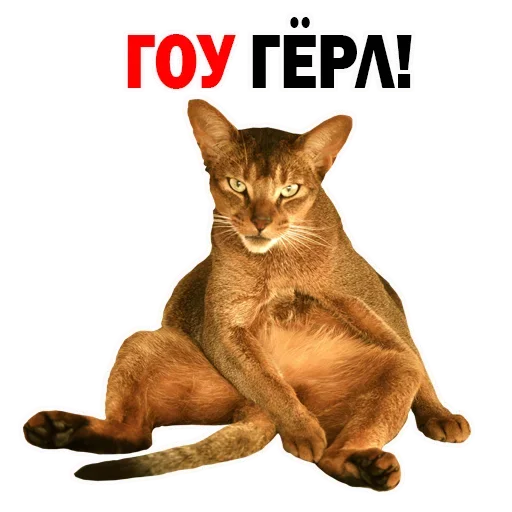 Sticker NYMKHHWLTD_by_stikeri_stikeri_bot - 1