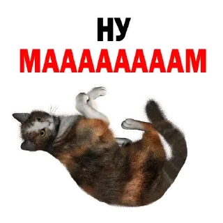 Sticker Больше стиков тут: @stikery4 - 6