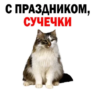 Sticker Больше стиков тут: @stikery4 - 4