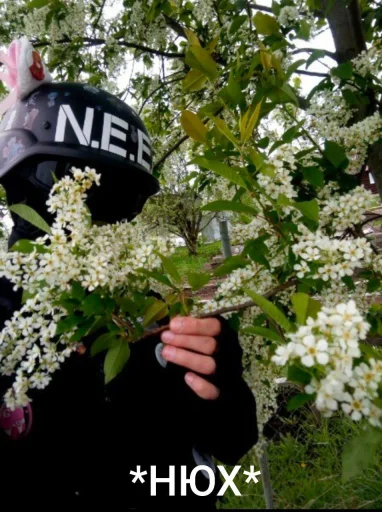 Sticker N_E_E_T_by_SozdaiStickeriBot - 1