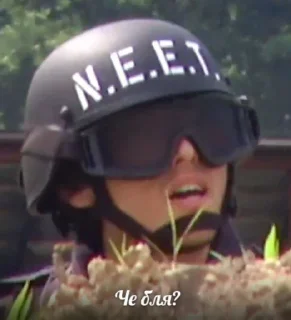 Стикер N.E.E.T @SozdaiStickeriBot - 5