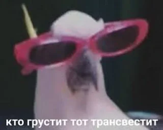 Стикер NaCherniyDen - 1