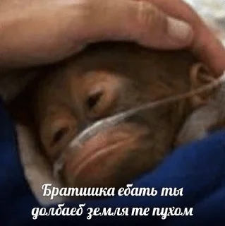 Стикер NaCherniyDen - 6