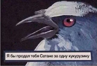 Стикер NaCherniyDen - 11