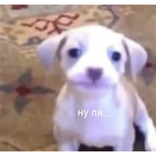 Sticker NaChtoYaGmal - 1