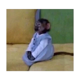 Стикер На что я жмал??! - 11