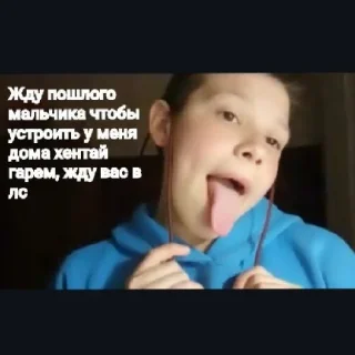 Sticker На дунае - 5