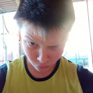 Sticker На дунае - 0