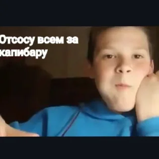 Sticker На дунае - 3