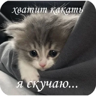 Sticker киберbulling face - 9