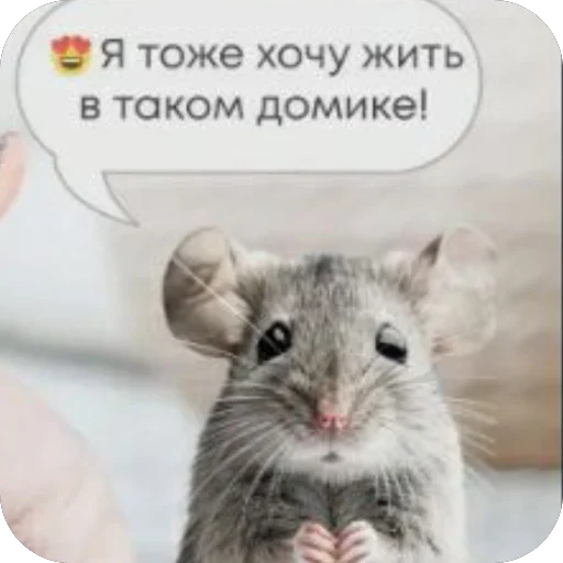 Sticker NaMneKurtka - 1