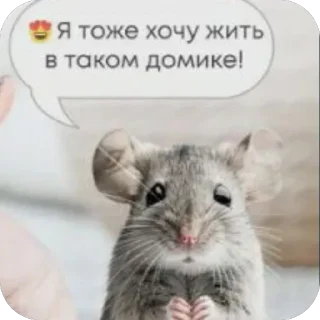 Стикер На мне куртка - 6