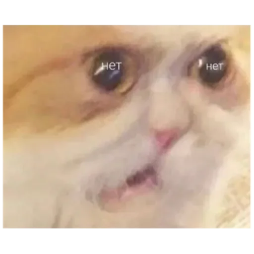 Стикер NaPriFeafaZN_by_stqr_bot - 1