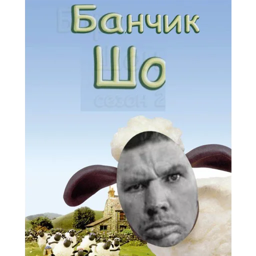 СМС человеческое лицо мужчина