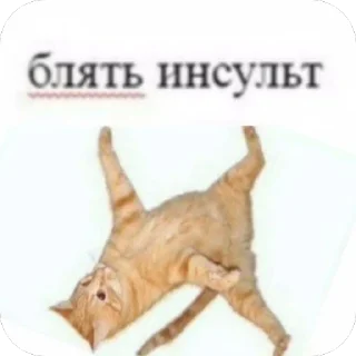 Стикер На все случаи жизни - 0