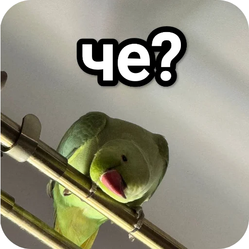 Стикер NaYazykePopugaev - 1