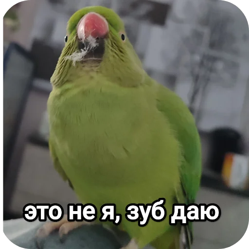 Sticker NaYazykePopugaev - 1