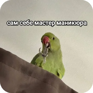 Sticker На языке попугаев - 11