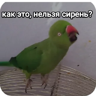 Sticker На языке попугаев - 8