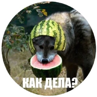 Sticker На чиле - 5