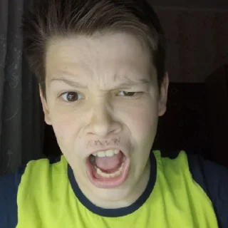 Sticker На дунае - 8