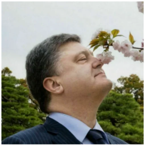 Человек человеческое лицо дерево