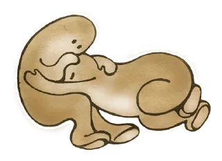 Sticker Тёплый каддл - 4