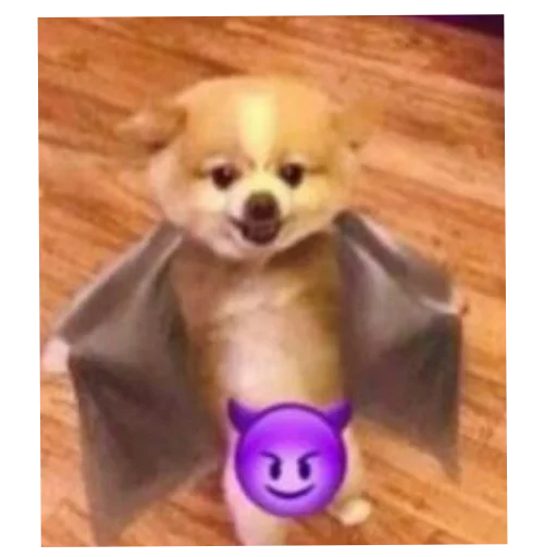 На случай важных переговоров - 