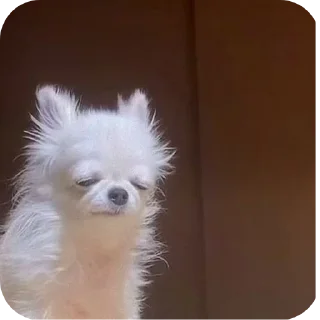 Стикер На случай важных переговоров - 3