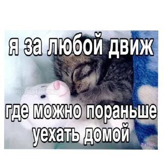 Стикер На случай важных переговоров - 9