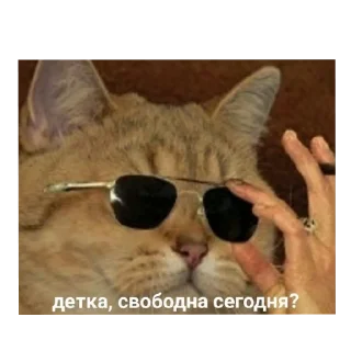 Стикер На случай важных переговоров - 7