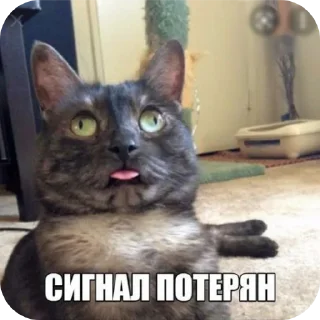 Стикер На случай важных переговоров - 8