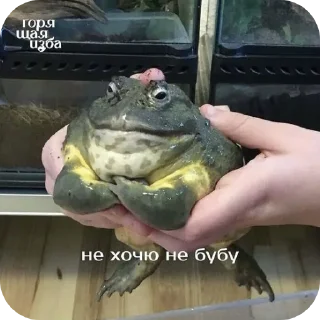 Стикер На случай важных переговоров - 0