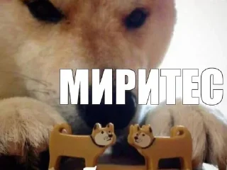 Стикер Na sluchay - 10