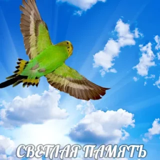 Стикер Na sluchay - 9