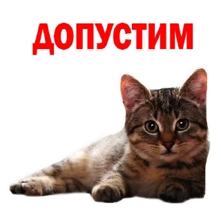 Sticker ЮПитер🐋 - 3