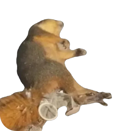 Стикер NaborDoboyoba - 1