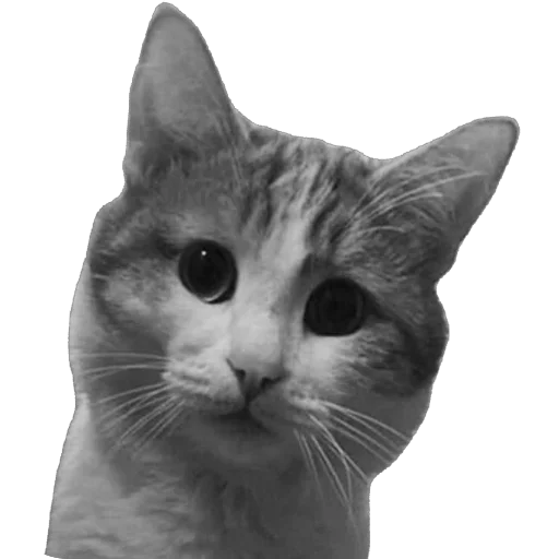 Sticker NaborDoboyoba - 1