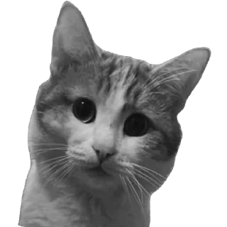 Стикер Набор добоёба - 1