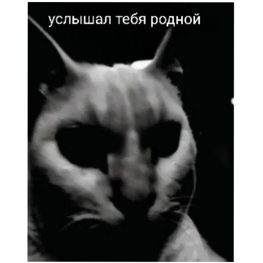 Sticker NaborNovyj - 1