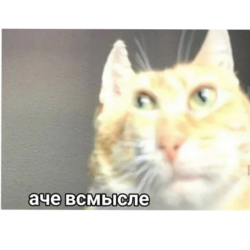 Sticker NaborNovyj - 1