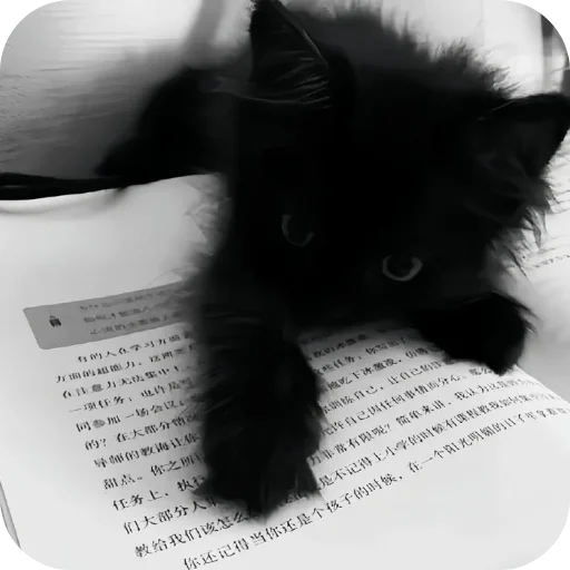 Sticker Nabor_ot_mm2r_4m - 1