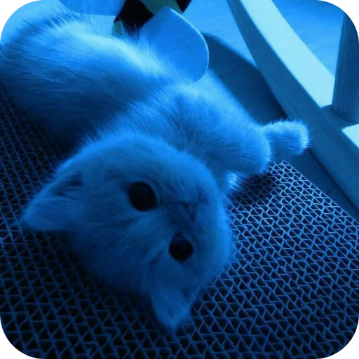 Sticker Nabor_ot_mm2r_4m - 1