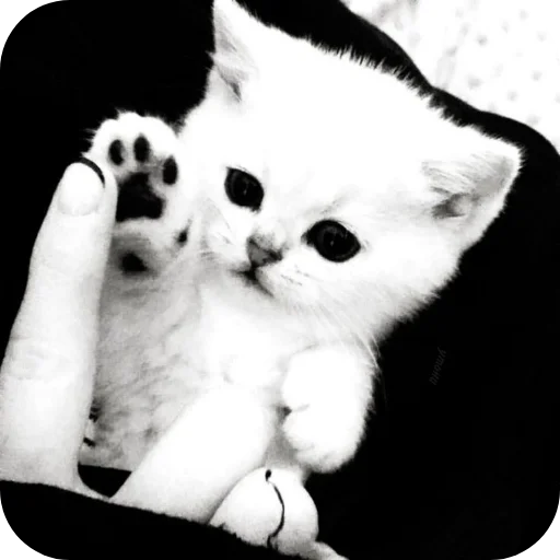 Sticker Nabor_ot_mm2r_4m - 1